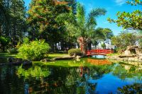 Caldas Novas & Goiânia